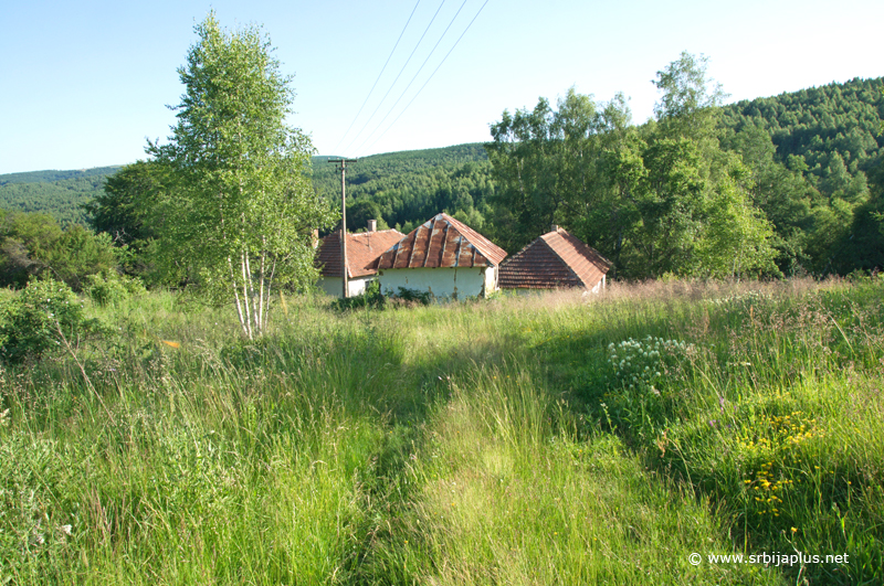 Dojčinova Mala u blizini Vlasinskog jezera Dojčinova Mala u blizini Vlasinskog jezera